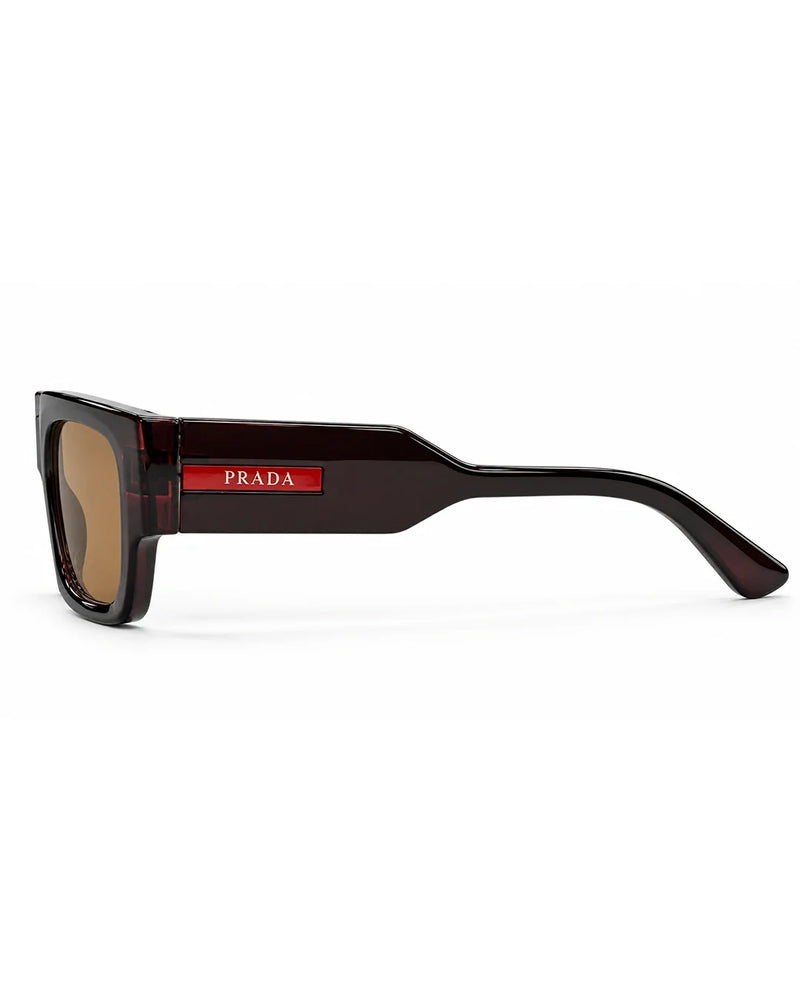 Bold Tortoise Frame Brown Lens Sunglasses