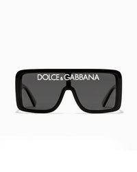 Logo Shield Sunglasses – Black & Smoke