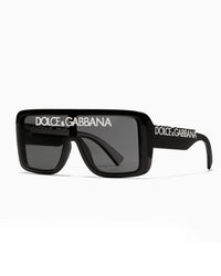 Logo Shield Sunglasses – Black & Smoke